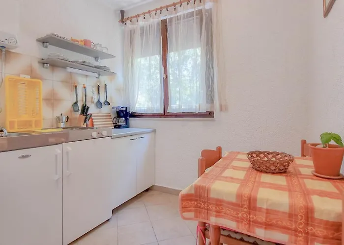 Mirjana Two Novigrad Istria